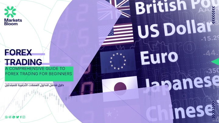 Forex trading for beginners guide image