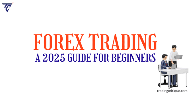 Forex trading setup for beginners