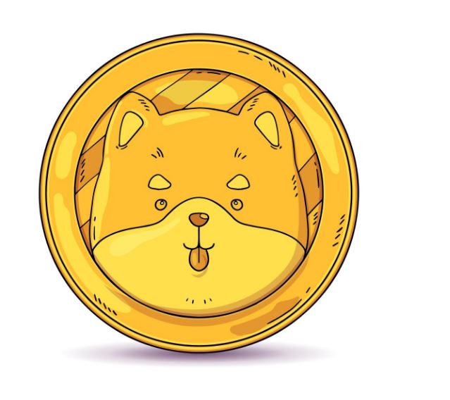 What Is A Meme Coin