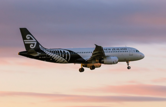 Air New Zealand Share Price Air New Zealand Share Price