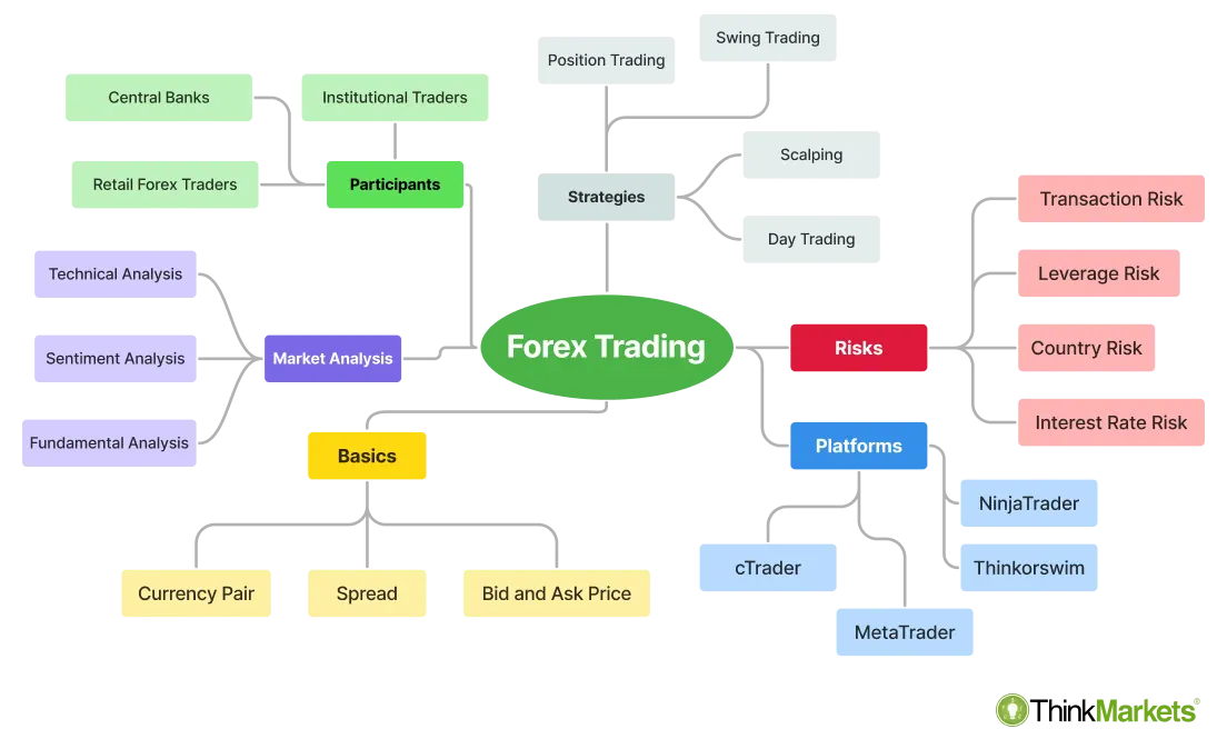 What is Forex Trading Infographic